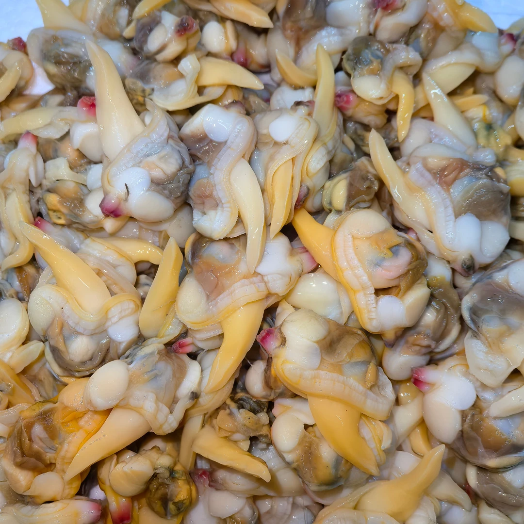 【阿同水产】新鲜黄蛤肉爆炒绝绝子