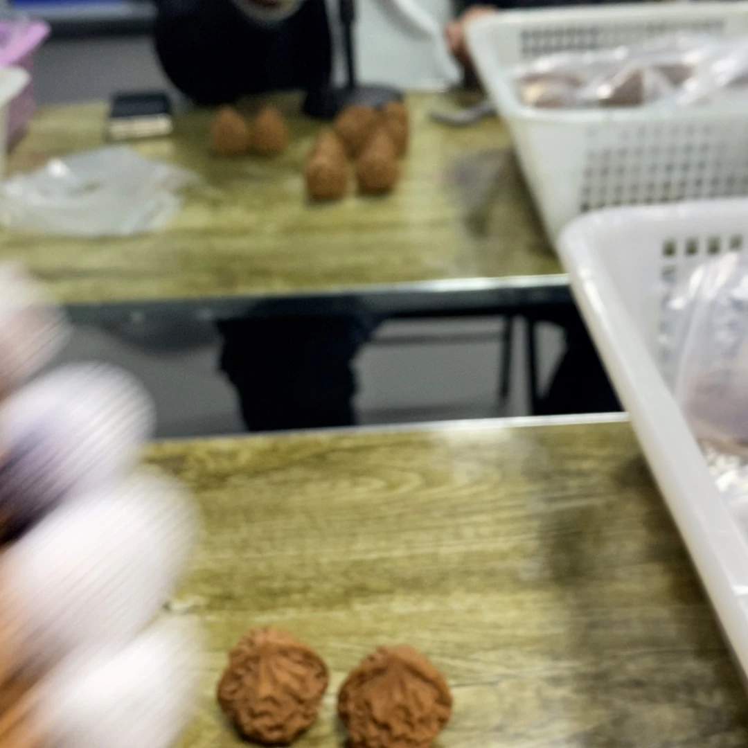 最***忙秦岭森林中出现许多鸟类