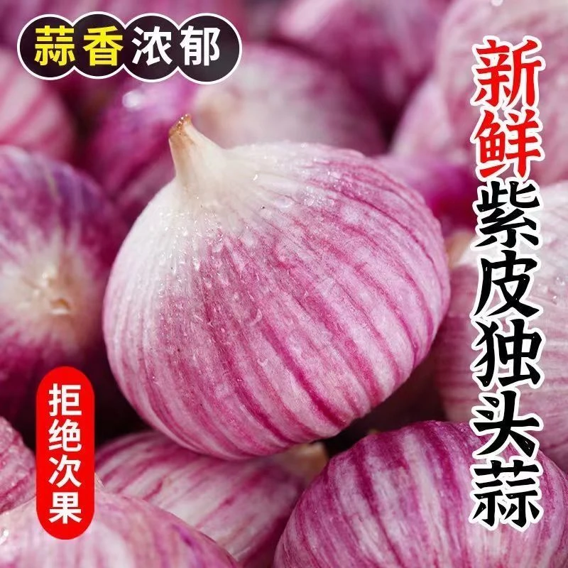 【超低价】云南紫皮独头蒜新鲜湿蒜农家批发泡蒜0.5/1/2/3/5斤包邮
