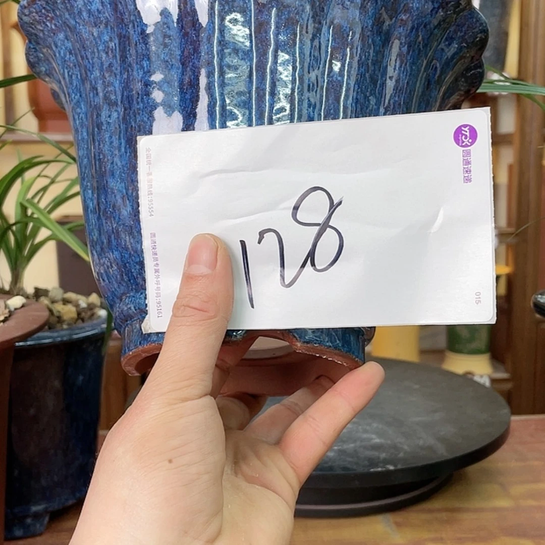 【闪购商品】紫砂花盆林*兰花85555475588477