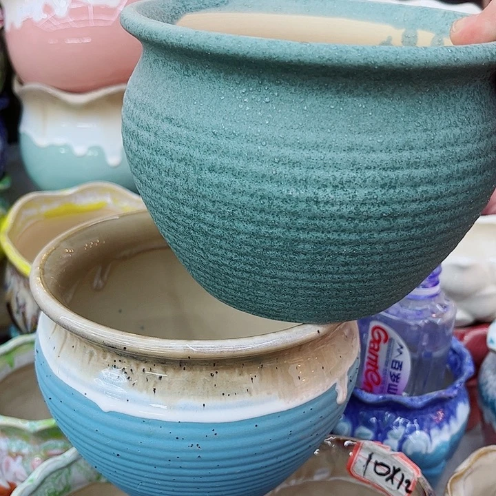 多肉植物陶瓷花盆