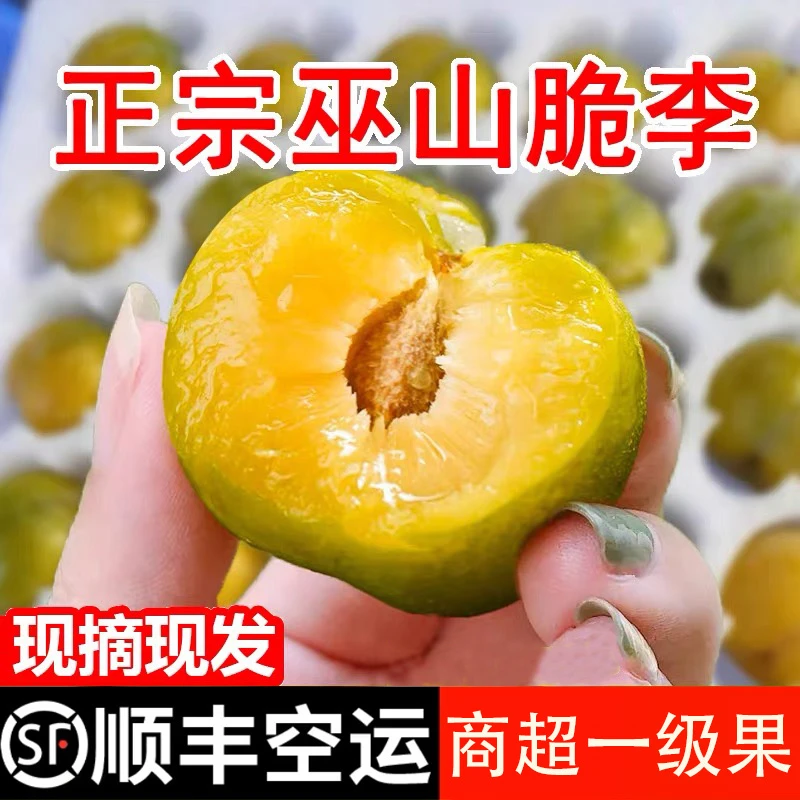 正宗巫山青脆脱骨李 冰糖李子 新鲜水果 应季水果 清甜爽口