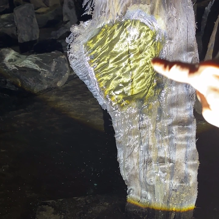 手***2乌木金丝楠摆毛料