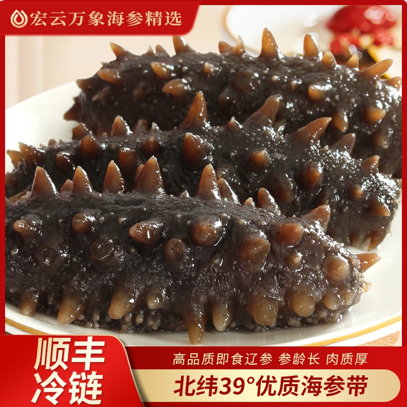 【高品辽参】即食海参1斤装7A冷冻发运(次日达)