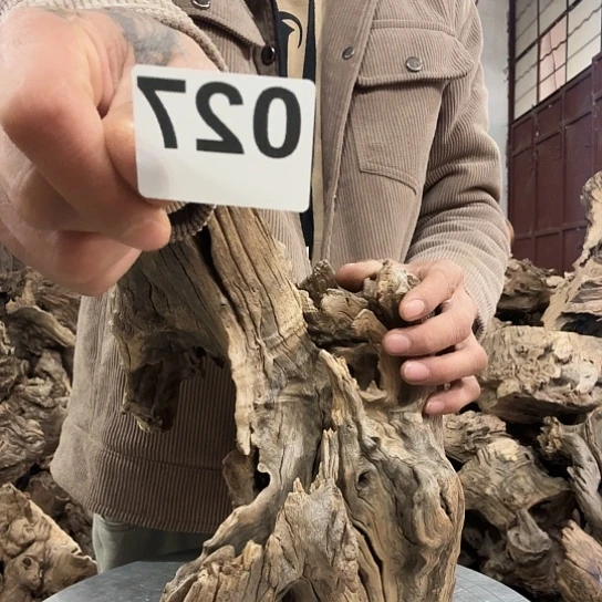 龙*休紫砂噜啦啦啦啦啦啦