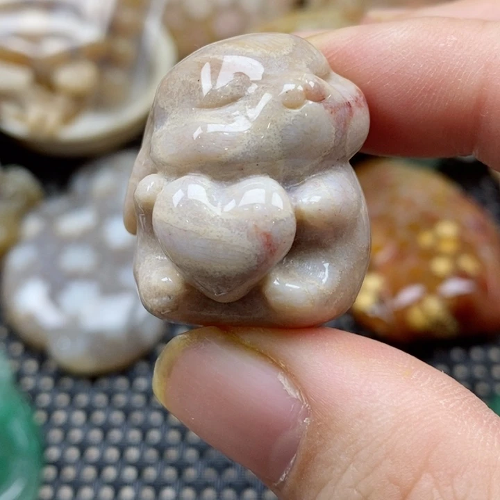 硅化珊瑚（珊瑚玉）颈饰未镶嵌y****