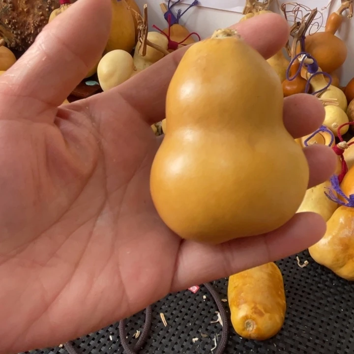 王***㉿葫芦葫哈哈哈哈哈哈哈哈