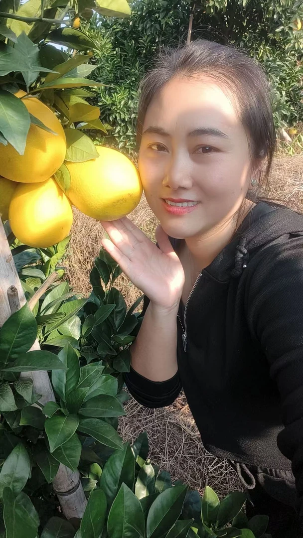 好吃的正宗赣南脐橙