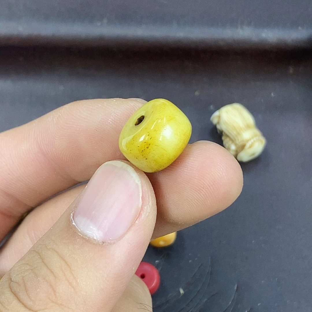 驼骨其他1.4尺寸,66