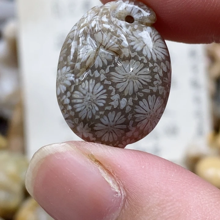 颈饰未镶嵌硅化珊瑚（珊瑚玉）小