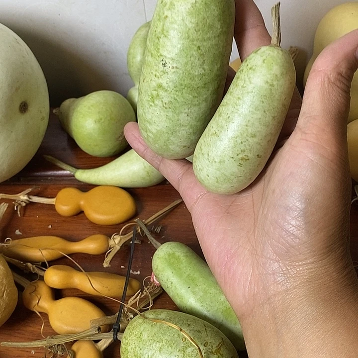 恭***财青皮葫芦手把件摆件