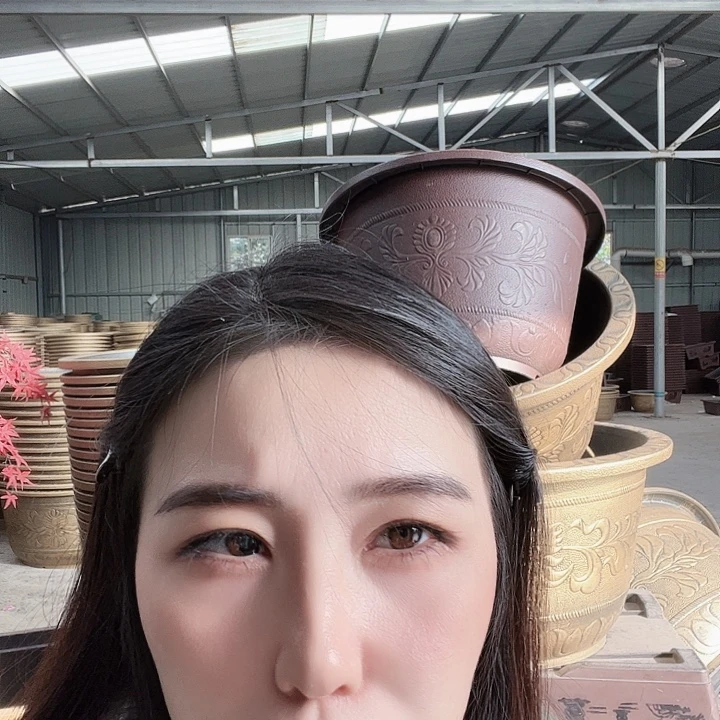 圆70口径花盆两个