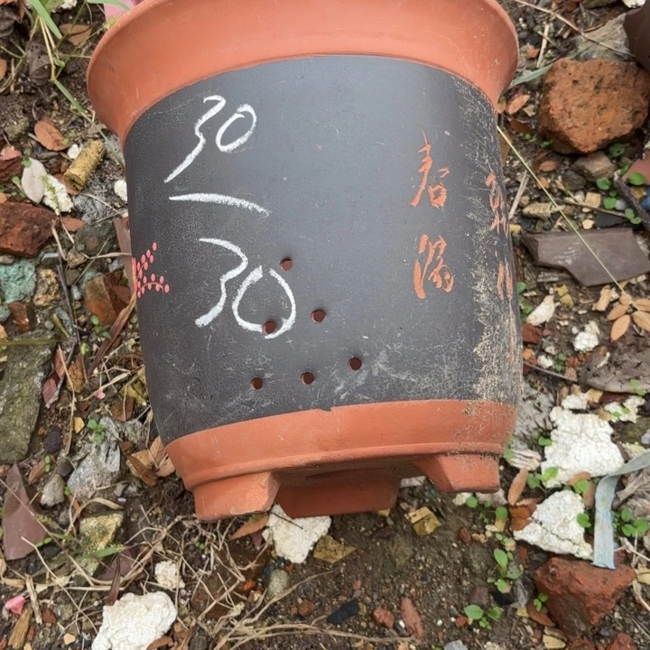 紫砂花盆紫砂的颜色