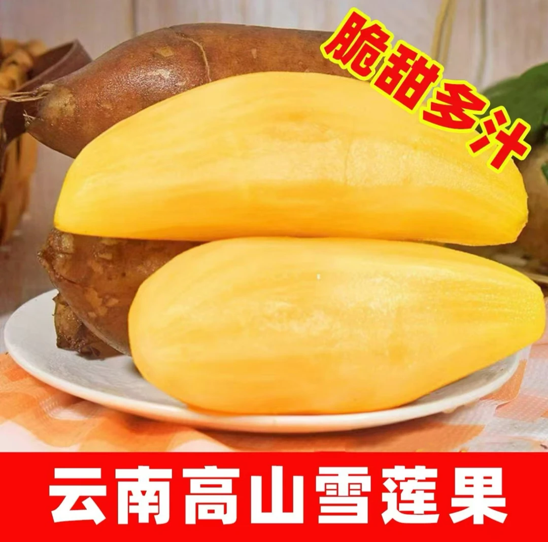 云南天山雪莲果现挖现发应季水果黄心脆甜多汁水果净重5斤9斤