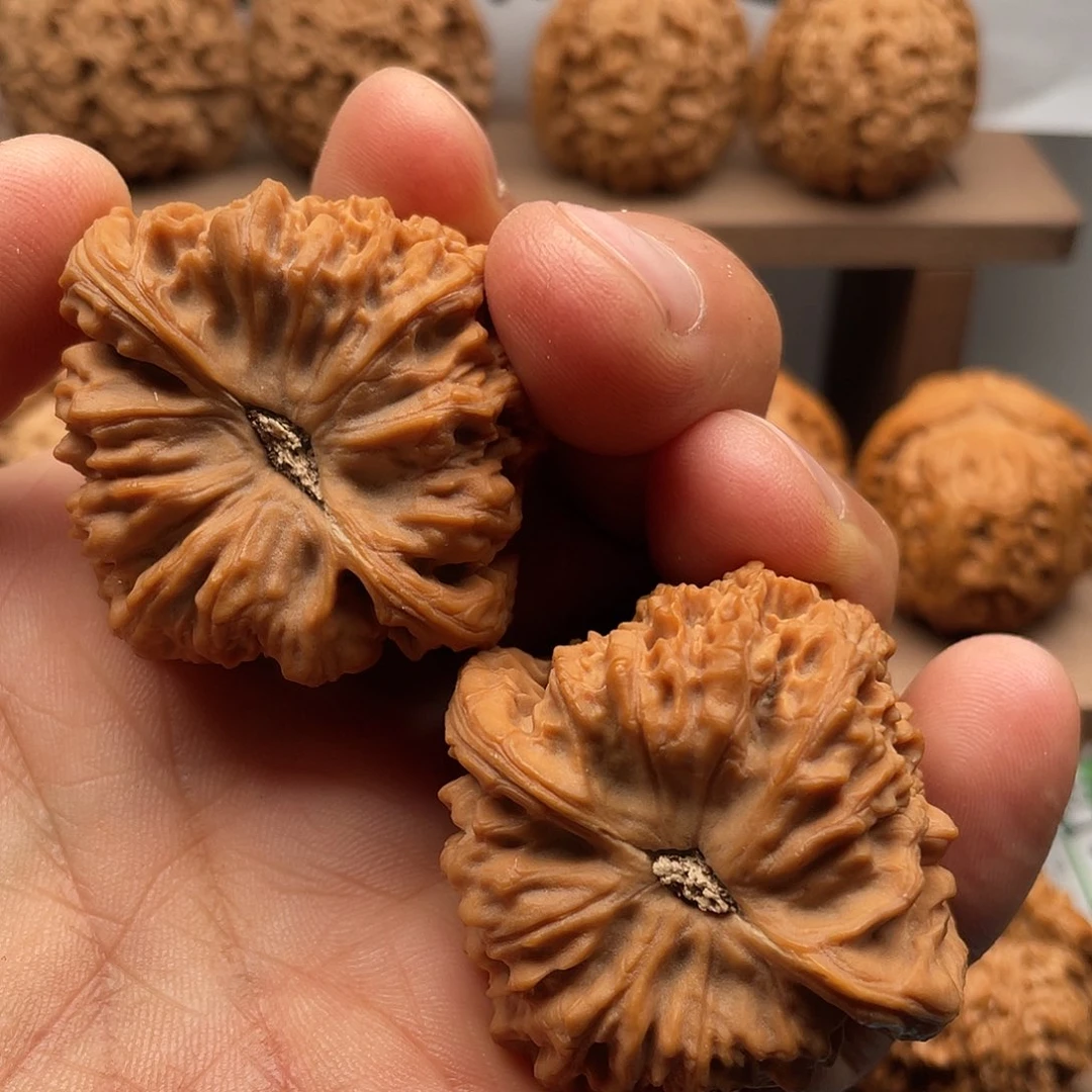 城***鱼吊坠桃核南疆石44/42/42全品无修无黄