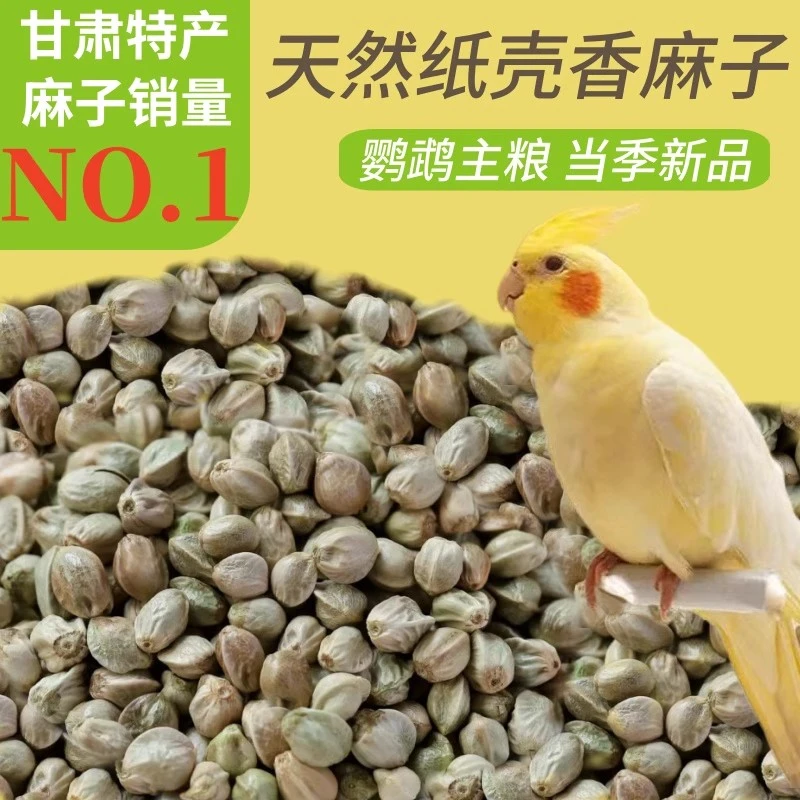 甘肃新麻子鸟粮纸壳纸皮麻籽仁鹦鹉粮饲料大小颗粒奖励零食鸟食