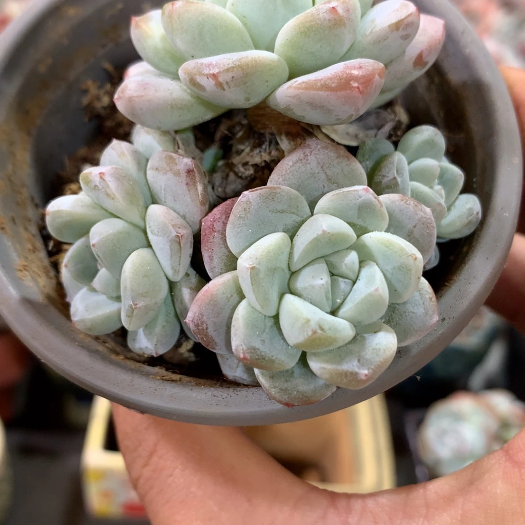 哈哈哈哈哈哈哈哈哈哈