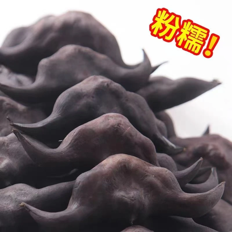 湖特产新鲜粉糯老菱角现摘现发农家土特产3斤5斤1斤新鲜蔬菜清香