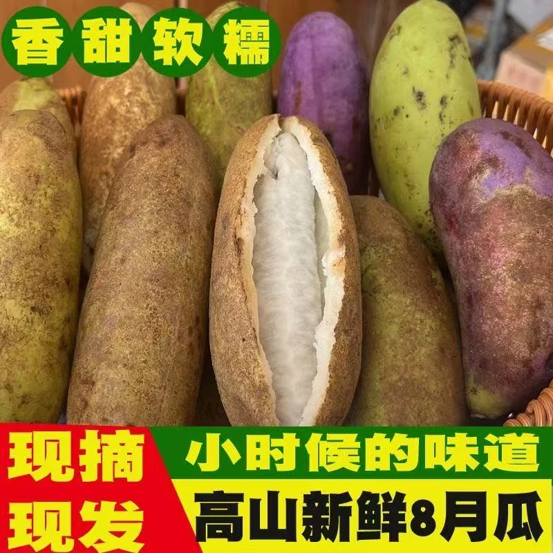 贵州高山野生八月炸黑狗肾果八月瓜当季新鲜现摘软糯香甜顺丰包邮