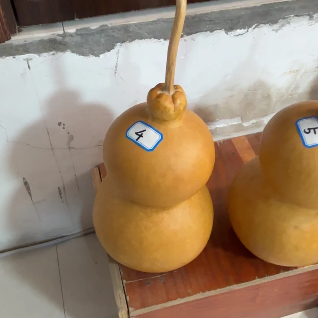 ****滔葫芦葫芦葫芦葫芦葫芦