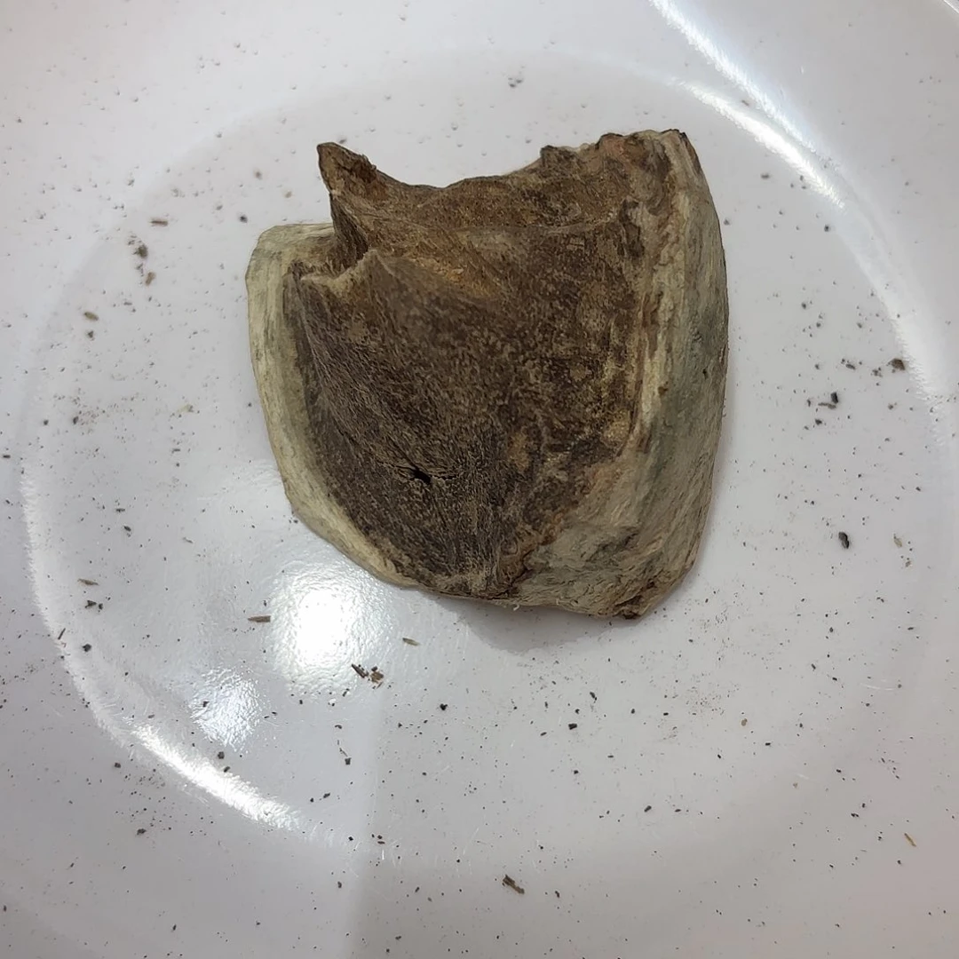 沉香沉香碎屑用****0沉香壳子