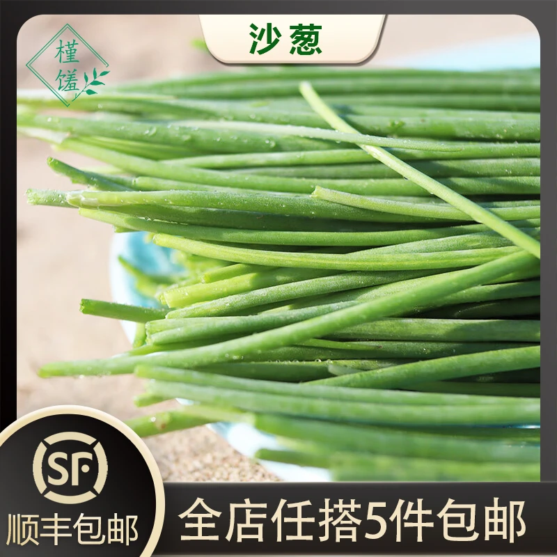 新鲜沙葱250g/盒 小葱香葱辛香脆爽美味民勤特产 任搭5件顺丰包邮