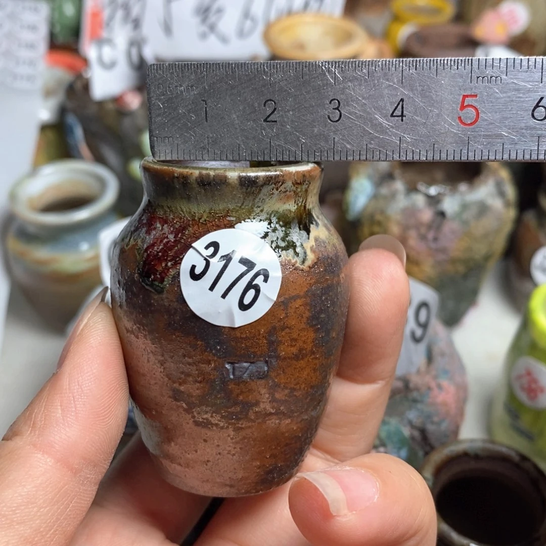 拍5送一个小礼物
