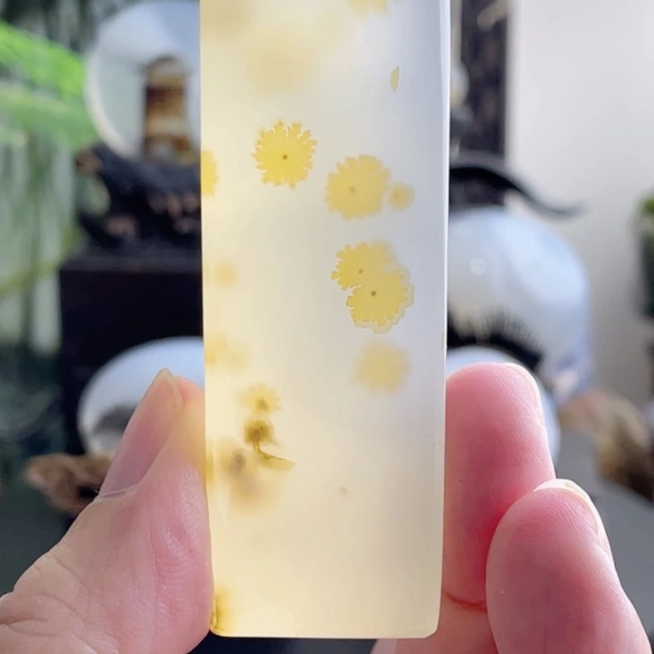 赵***.玛瑙/玉髓未镶嵌珠宝半成品