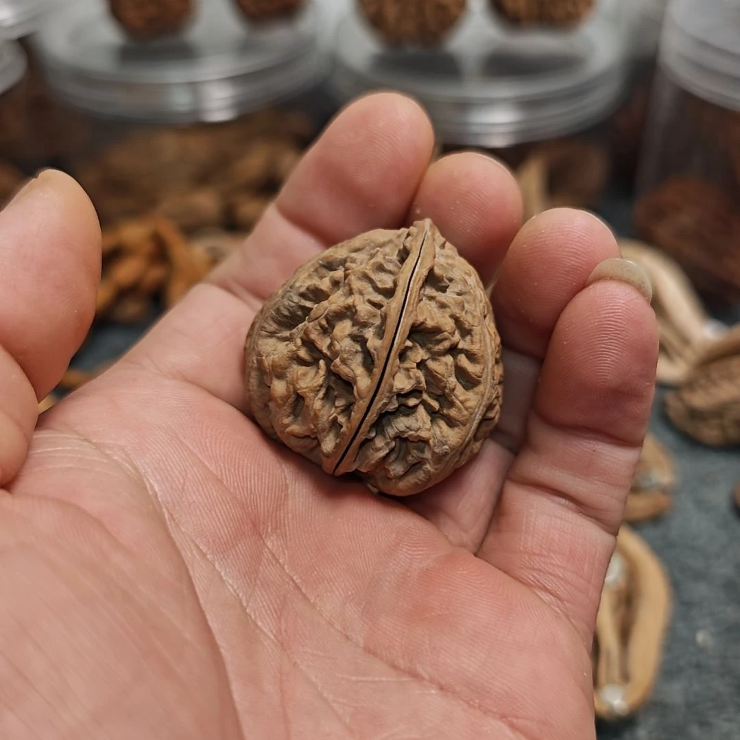 文玩核桃把件蒸*京分半吸铁石虚尖背侧阴皮