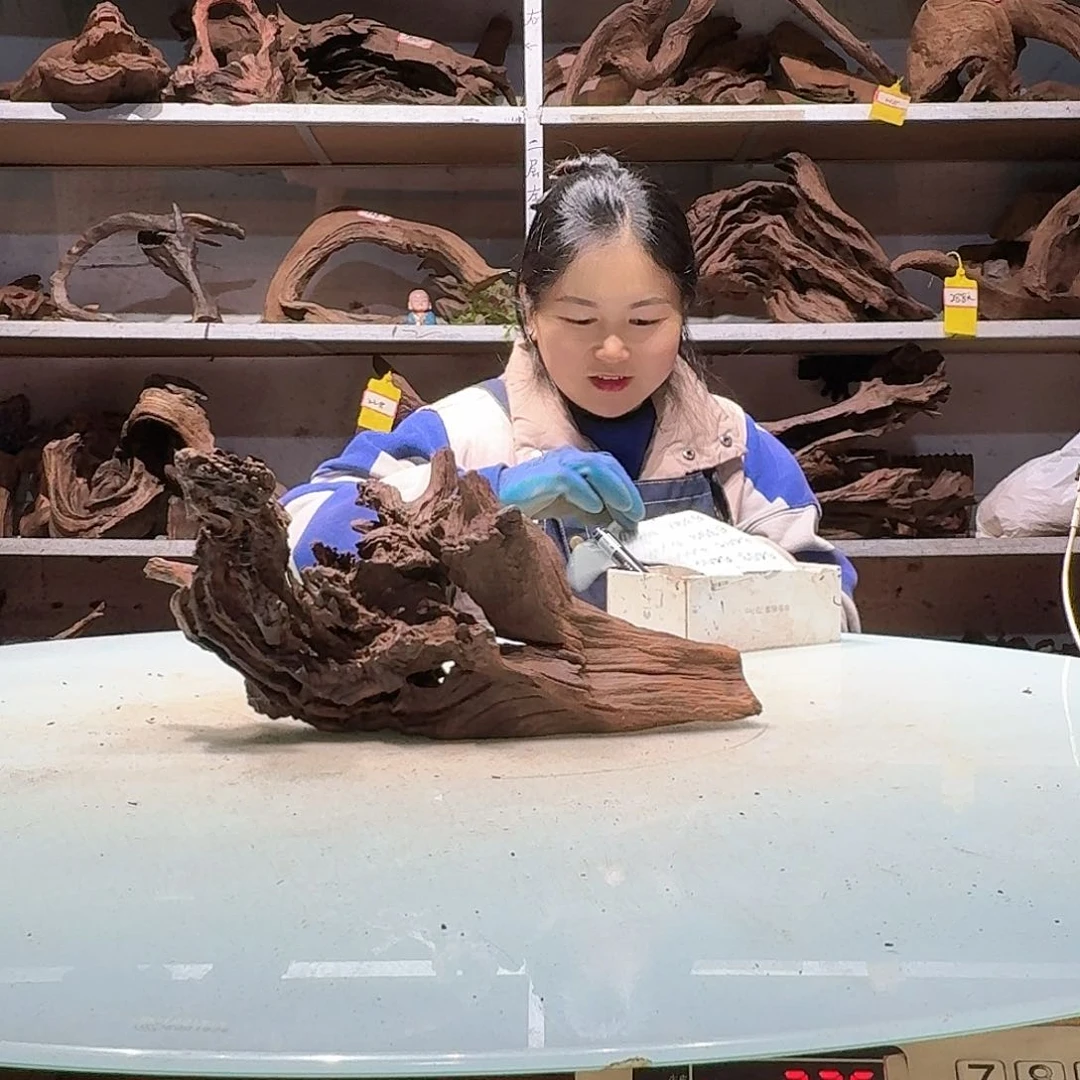 倍褚沉木不包损必褪色?**i6394