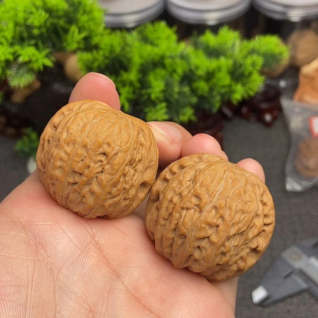 核桃铁锤妹妹39尺寸编号003