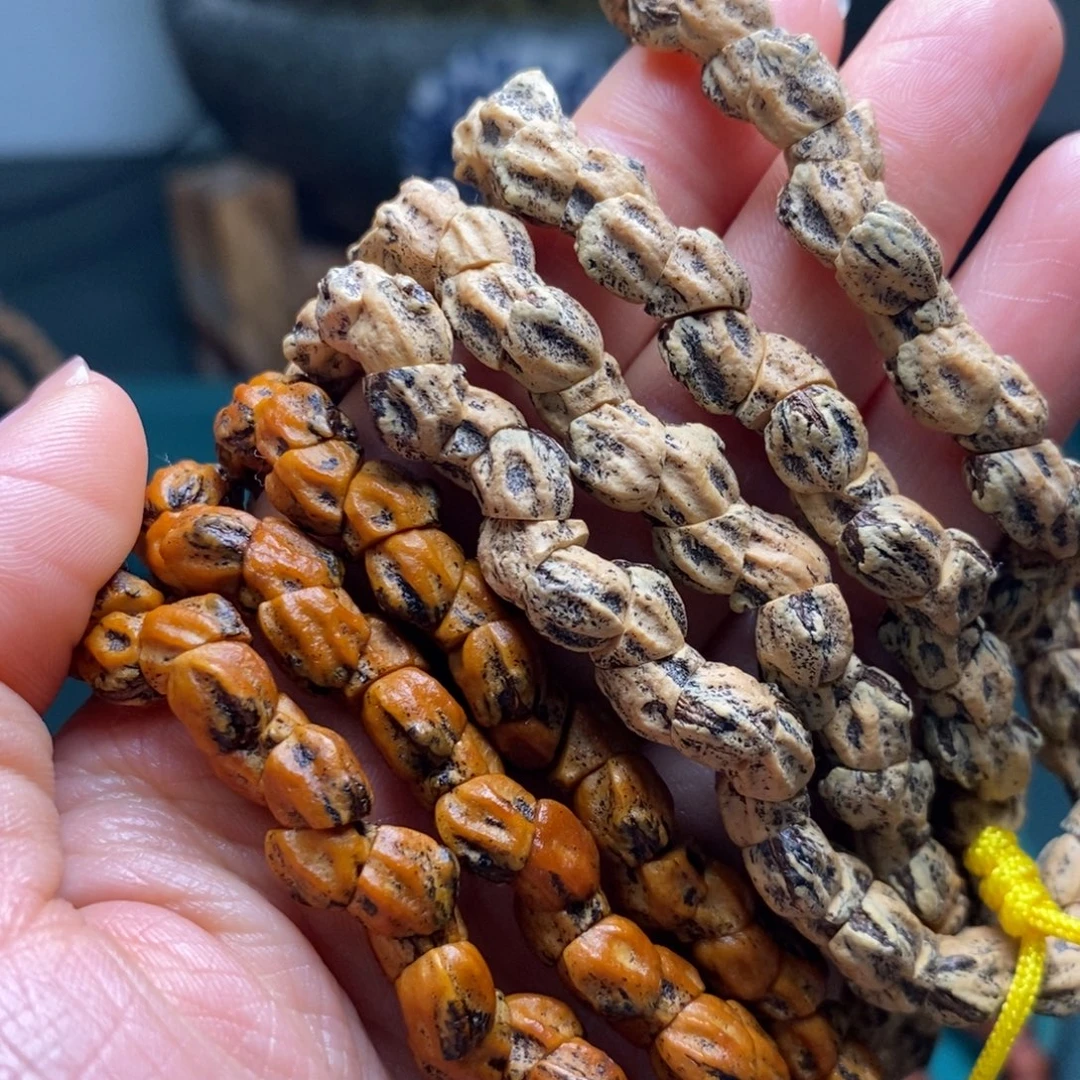 吊坠柏香籽/百香籽549青龙鬼肠 热