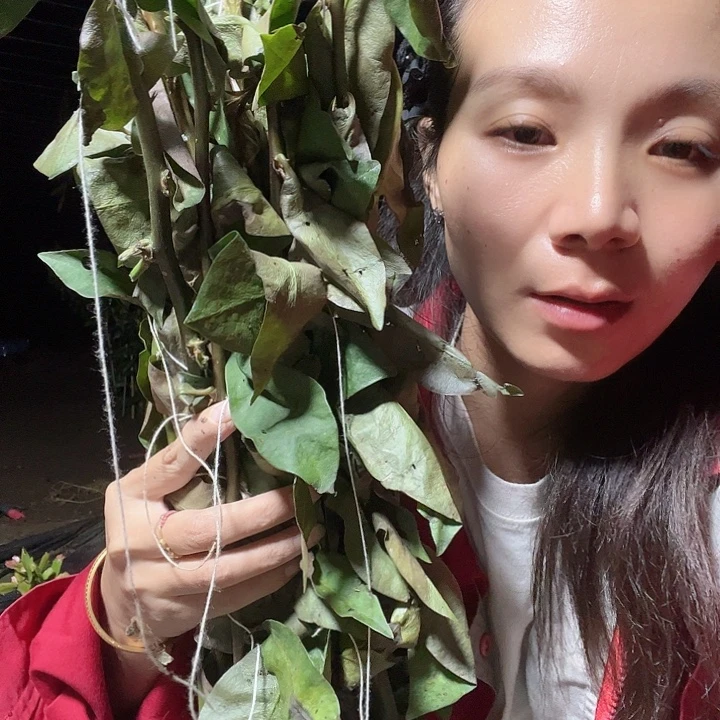 无花朵叶仙纸条一把哈哈哈