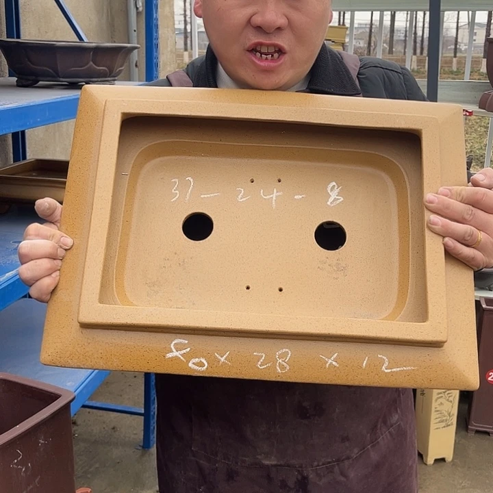 紫砂花盆紫砂花茶