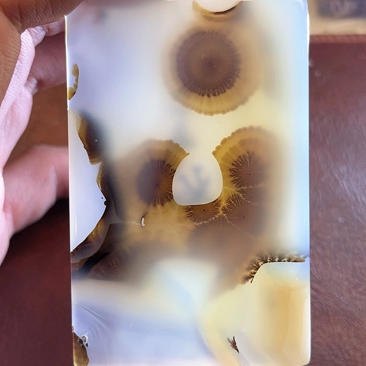 玛瑙/玉髓颈饰合金南**扬