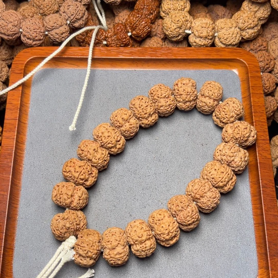 10号尼泊尔大金刚23五星梅花夹板手持