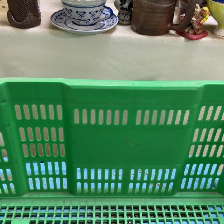 瓷片C***-开播啦….开播啦！