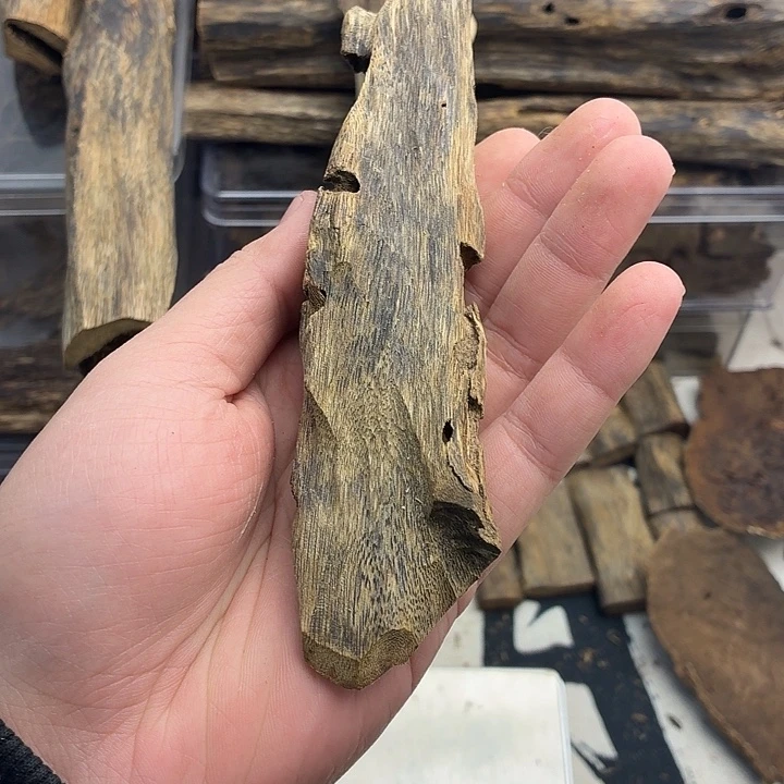 虫漏40克68块，放漏