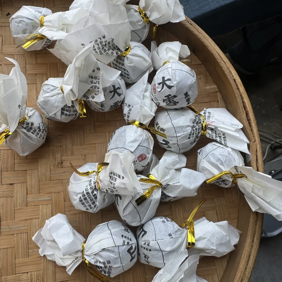 【黑紫芽龙珠】2024年春普洱生茶2月16日 【49号】