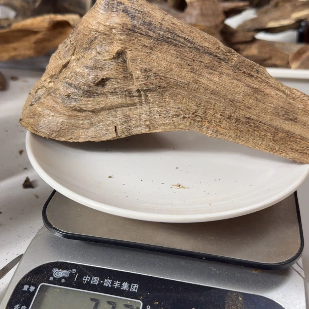 施***雨沉香沉香碎屑香港地下格树根37克