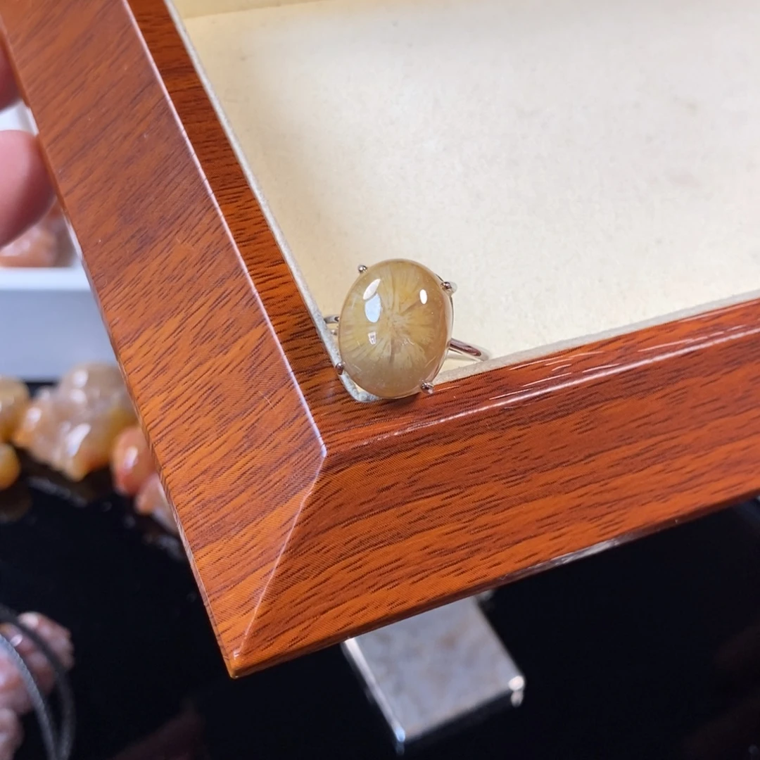 硅化珊瑚（珊瑚玉）合金戒指45