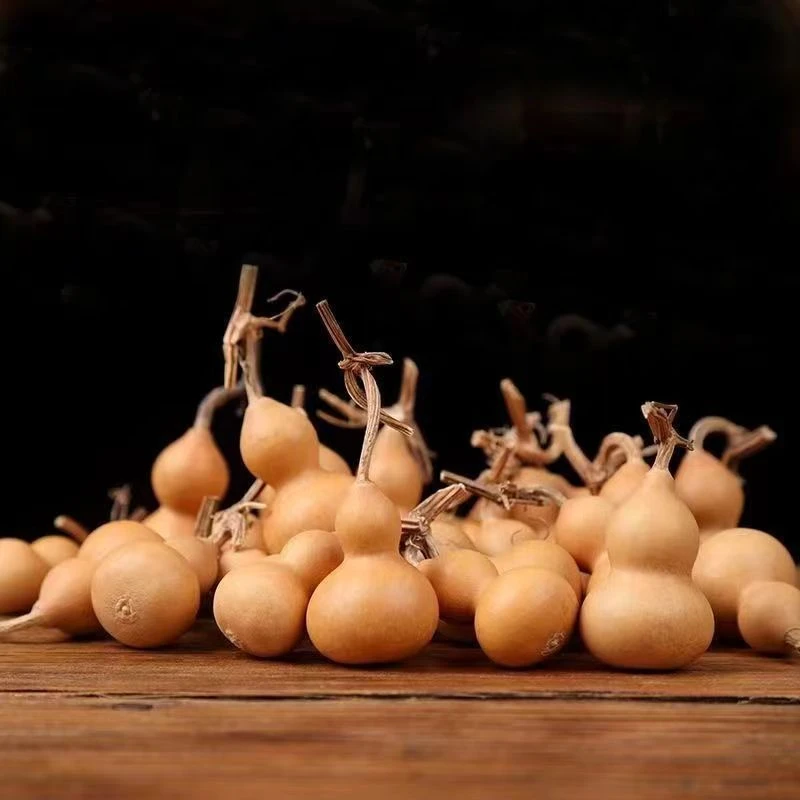 种植小葫芦文玩盘玩素葫芦(直播间选购专用链接)3