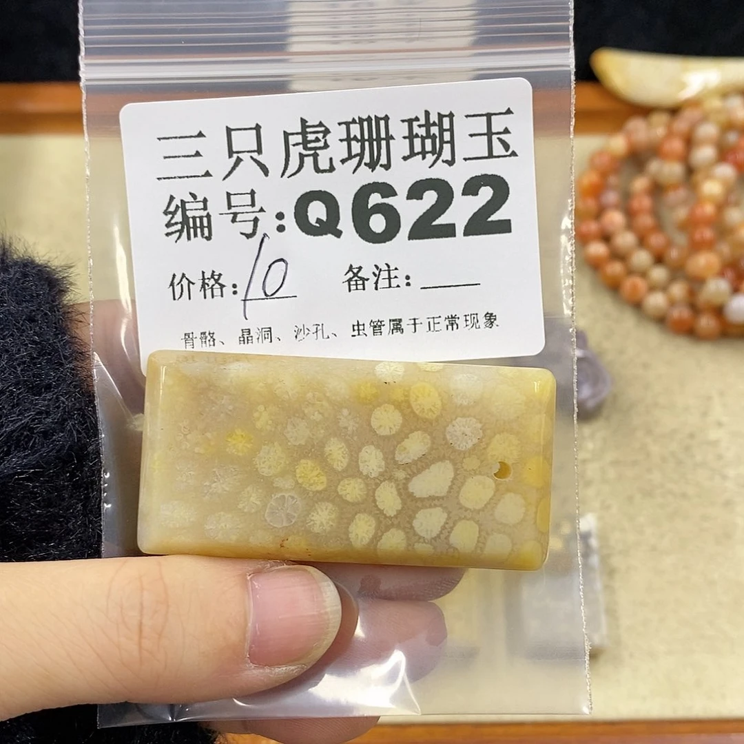 硅化珊瑚（珊瑚玉）1未镶嵌粉*点