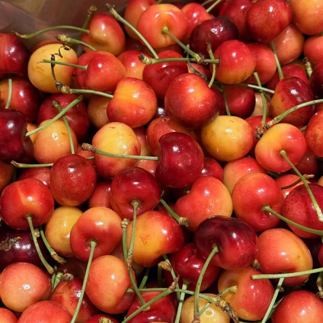 智利海运车厘子，天空之城金车JJ级4斤（内附果径卡）斯凯拉雷智利共和国