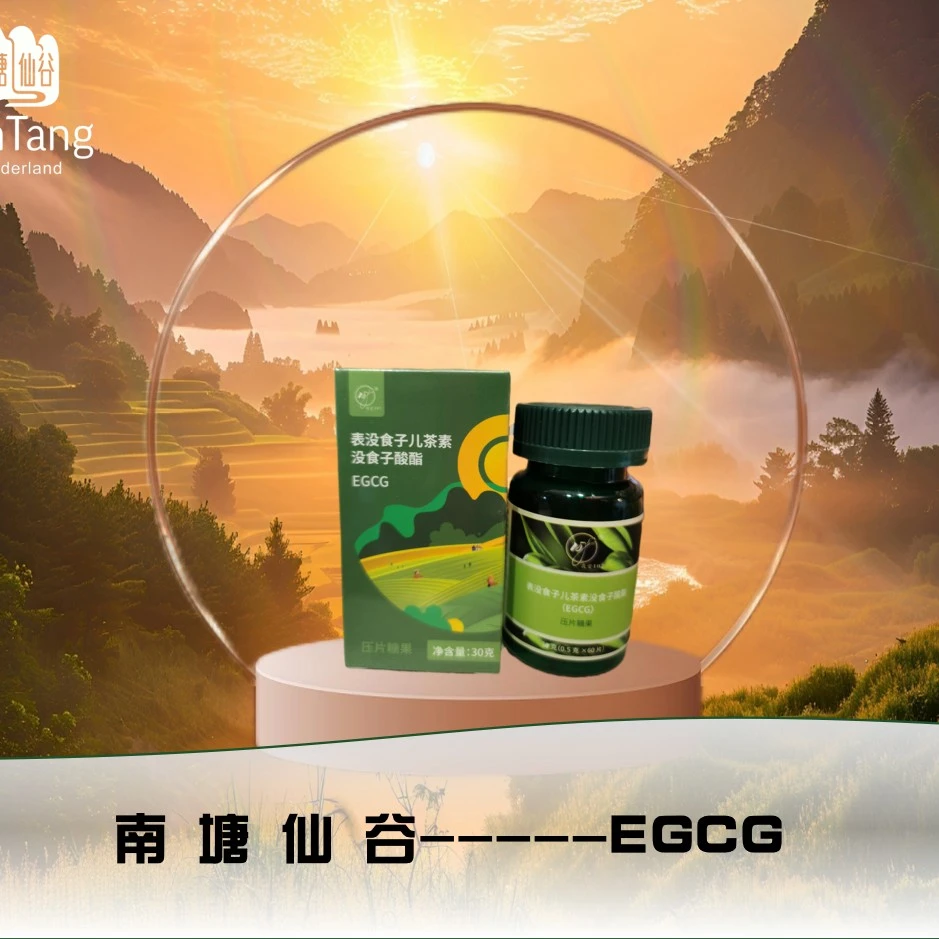 南塘仙谷表没食子儿茶素没食子酸酯