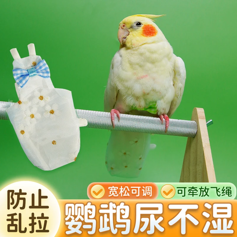 【鹦鹉屎兜 防止乱拉】夏季可调节立体款鹦鹉尿不湿蕾丝虎皮屎兜KJ