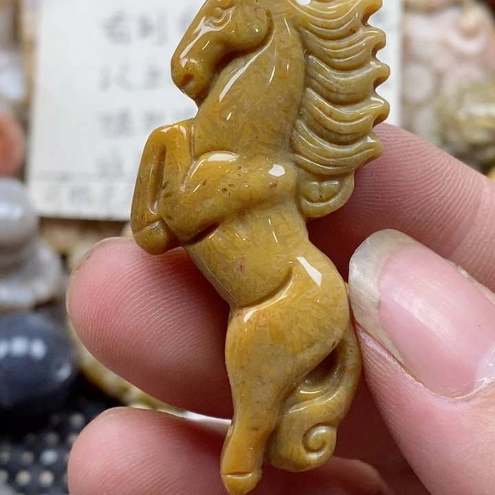 颈饰未镶嵌硅化珊瑚（珊瑚玉）