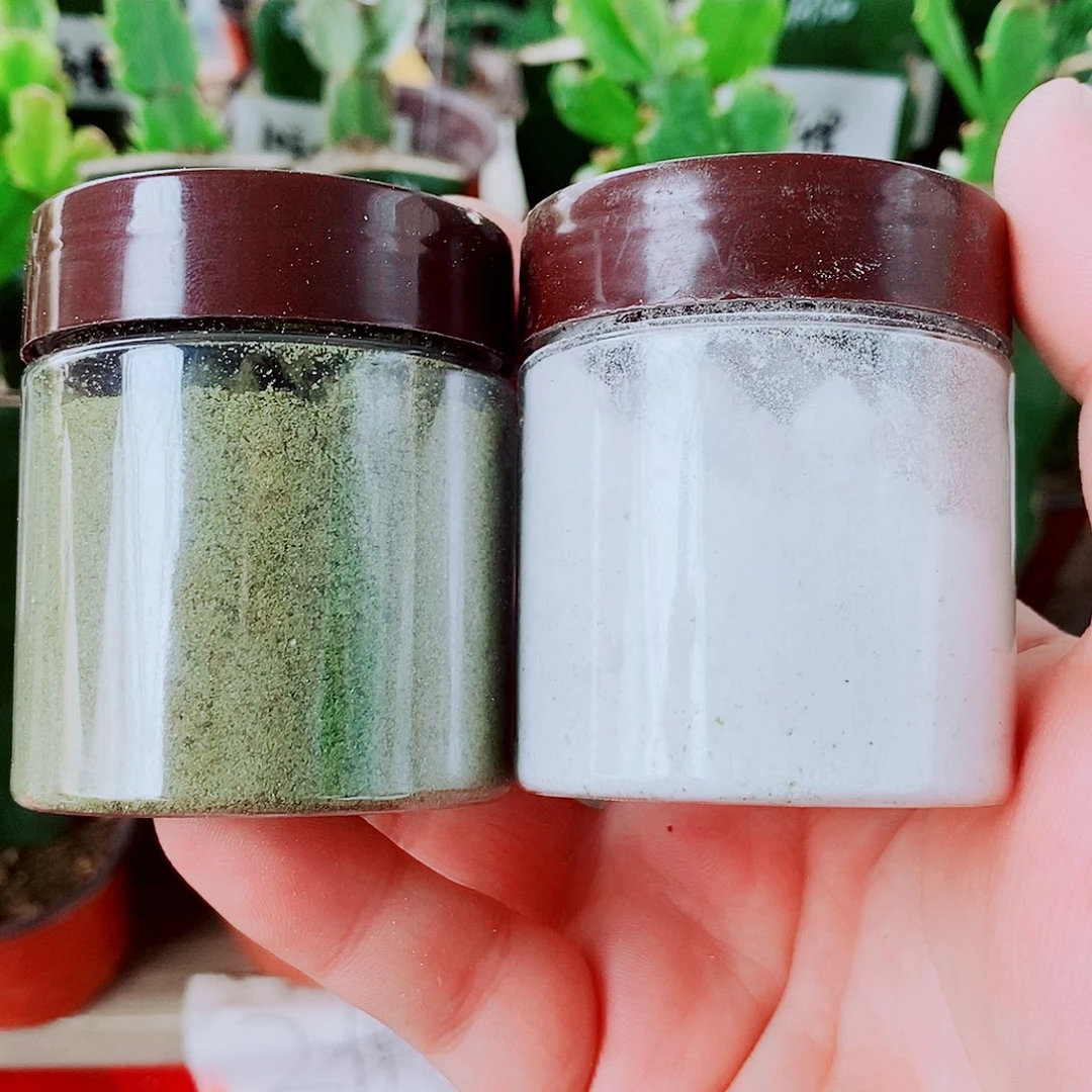 无花朵蟹爪兰专用1号➕2号