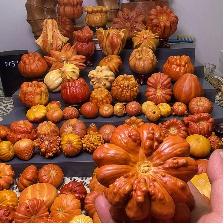 ****二大叶紫檀（黑酸枝木类）