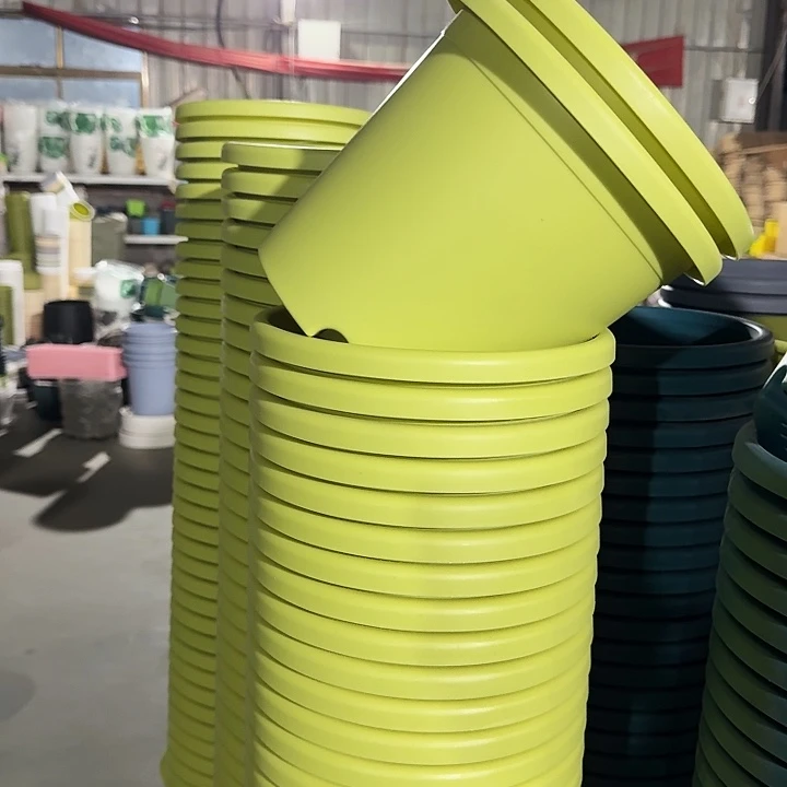 四季4#口径25果绿8个无托